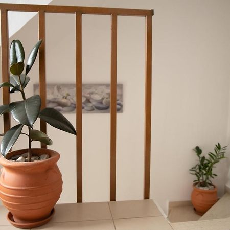 Lefkáda Nikorina Apts מראה חיצוני תמונה